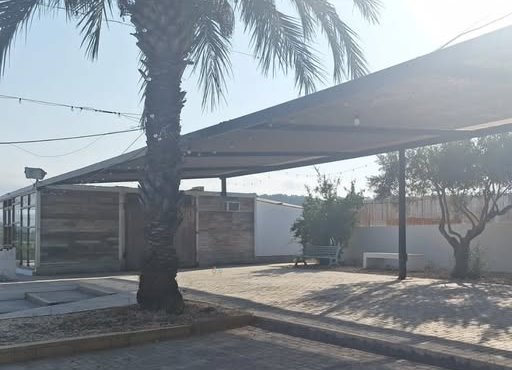 Terraza cubierta de La Casita con palmera y luces